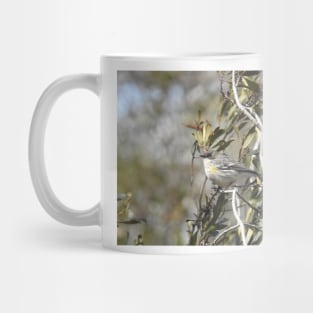 Yellow-rumped, myrtle, warbler, wild birds, wildlife gifts Mug